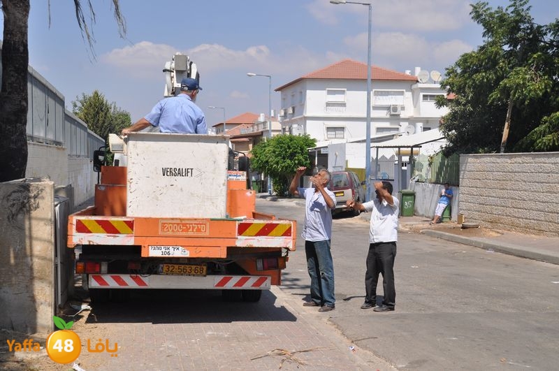 cat lud 910 (38).JPG